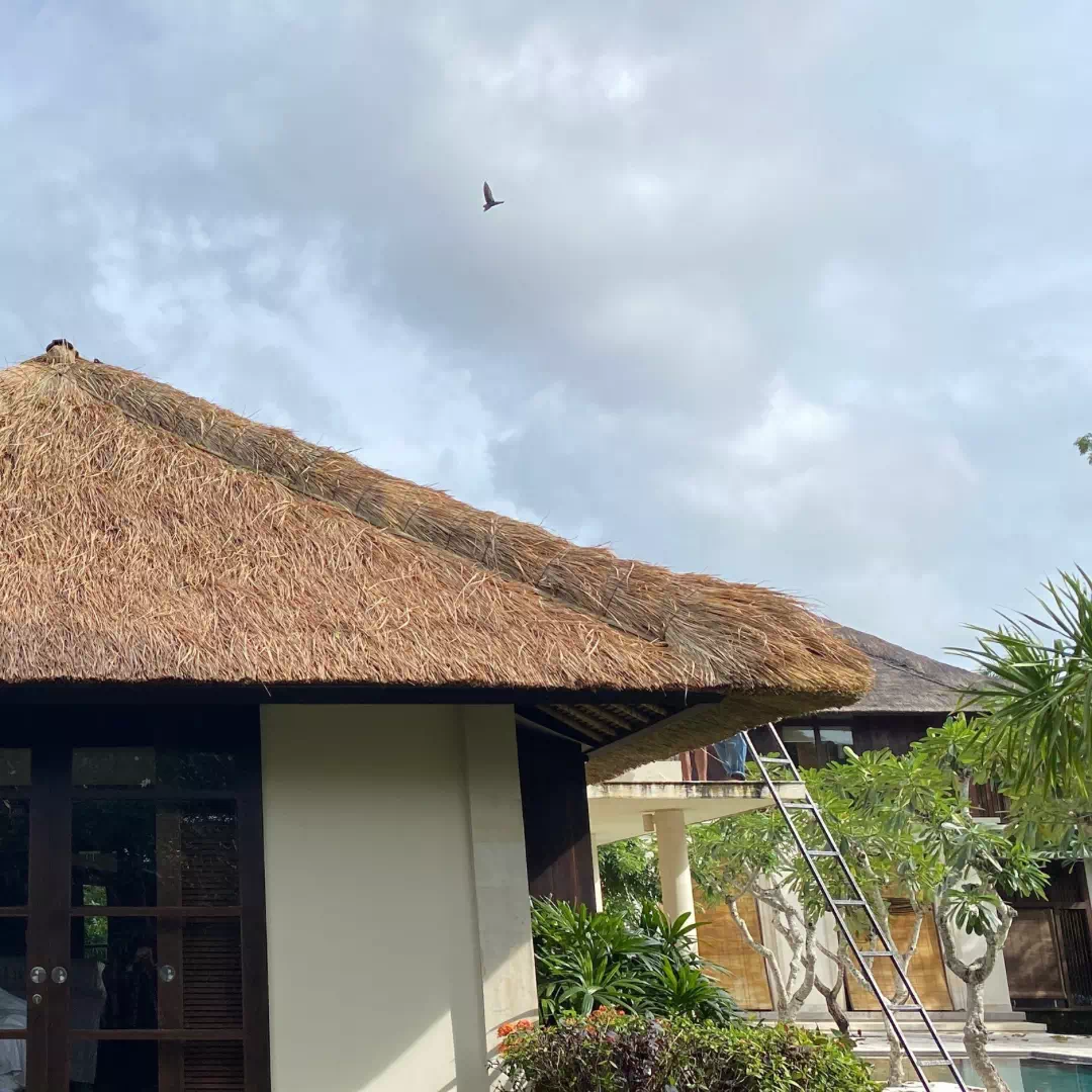 5FA70BC8-14A8-40D7-8694-21C6716562FF