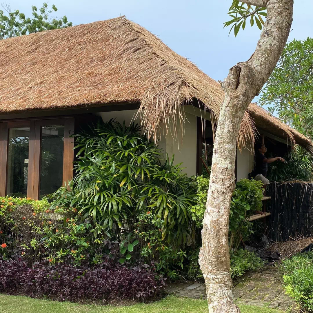 D13FA491-70E3-4010-BAC9-FA2C744DA5A8